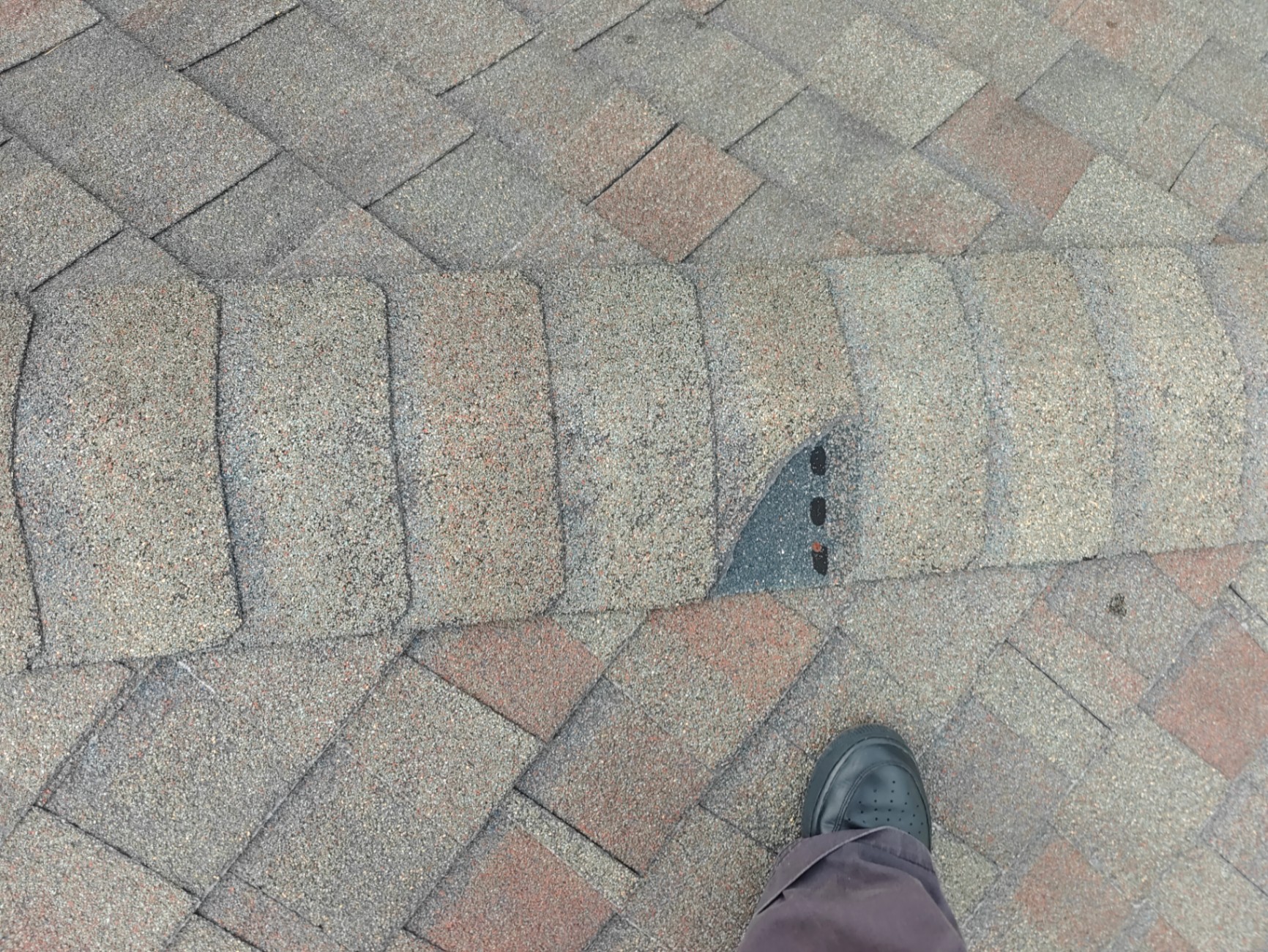 Cracked shingle with exposed nail heads on a Florida roof