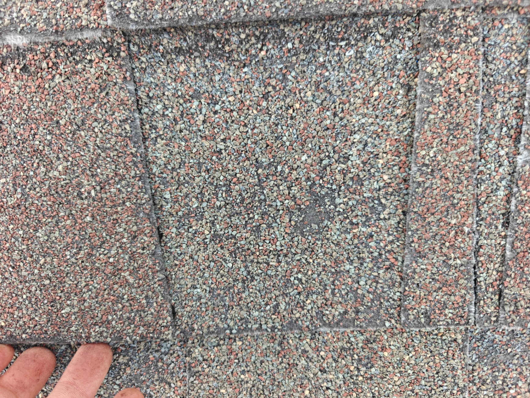 Close-up of granule loss on a storm-damaged shingle